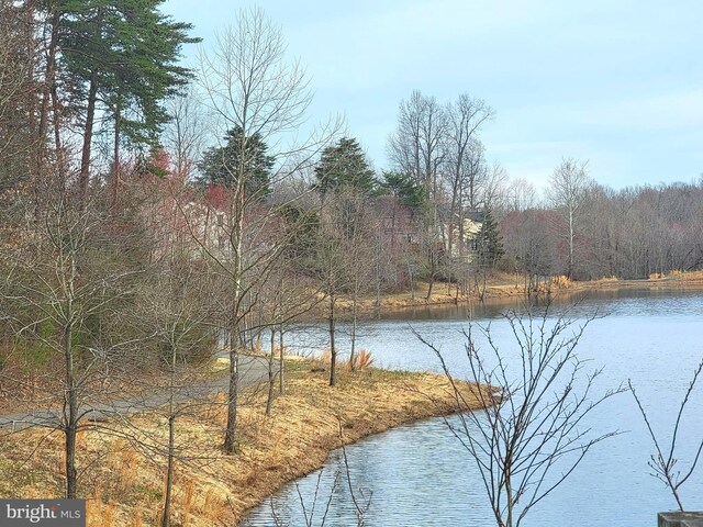 15200 Spotted Turtle Ct, Woodbridge, VA 22193 - property view of water with a forest view