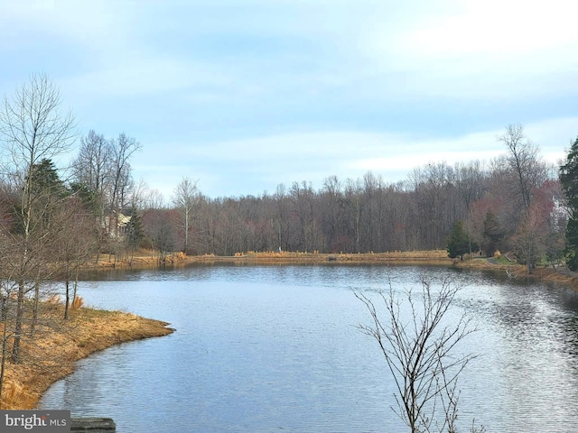 15200 Spotted Turtle Ct, Woodbridge, VA 22193 - view of water feature featuring a forest view