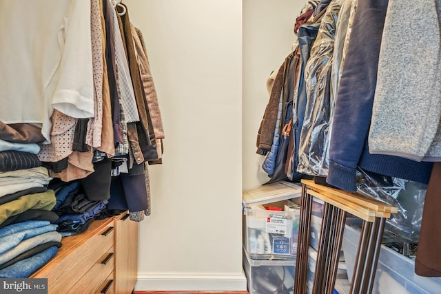 view of walk in closet