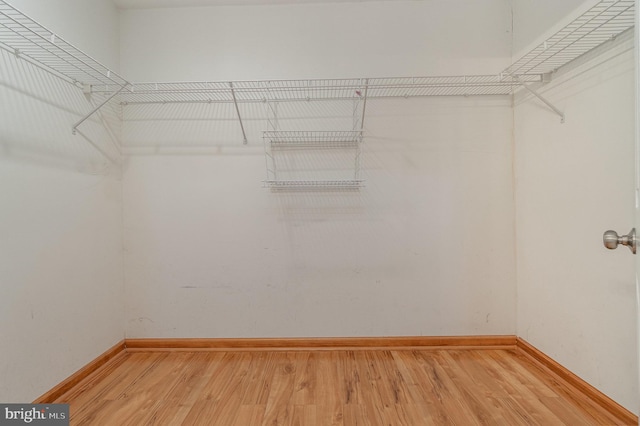 walk in closet featuring light wood finished floors