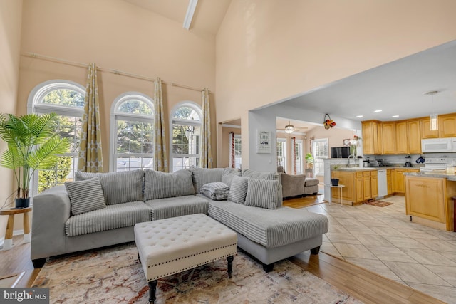 living area featuring light wood-style floors, a healthy amount of sunlight, and a towering ceiling