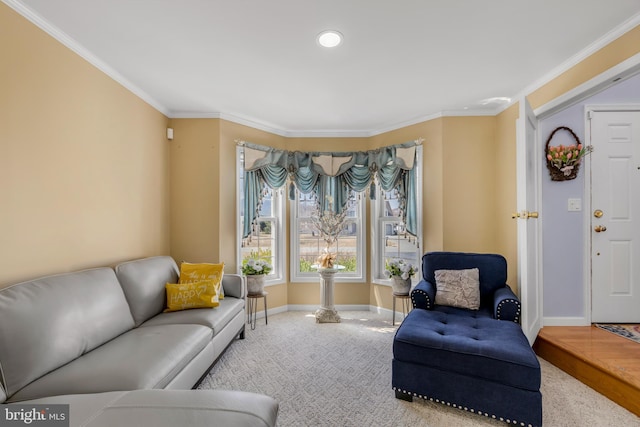 carpeted living room with crown molding and baseboards