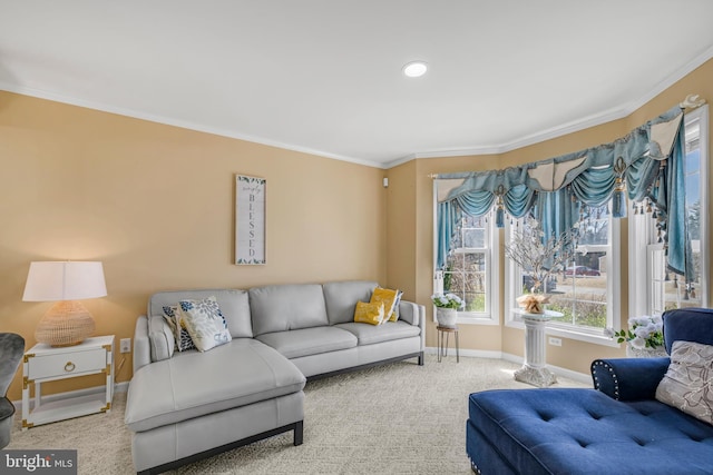 living area featuring baseboards, carpet, and ornamental molding