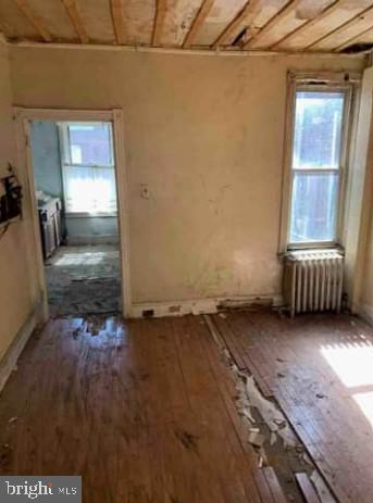 miscellaneous room featuring radiator and hardwood / wood-style flooring