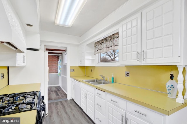 kitchen featuring light countertops, white cabinets, and a sink