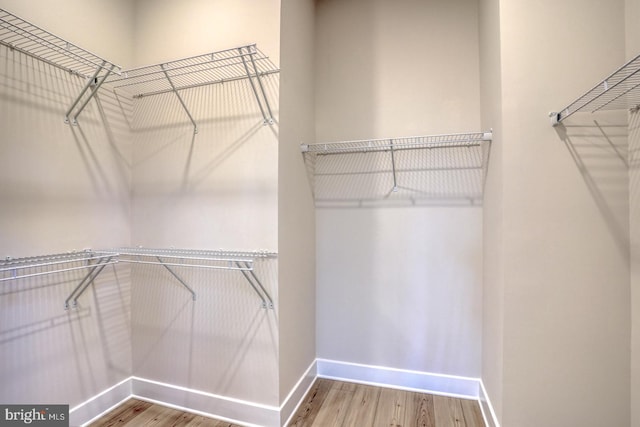 walk in closet featuring wood finished floors