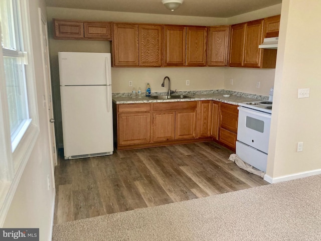 kitchen featuring brown cabinets, under cabinet range hood, a sink, dark wood-style floors, and white appliances