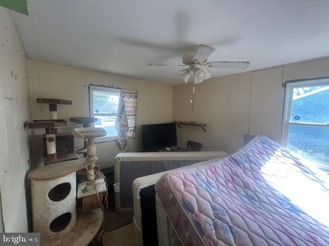 bedroom with multiple windows and a ceiling fan