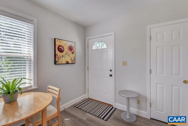 entrance foyer featuring wood finished floors, baseboards, and a wealth of natural light