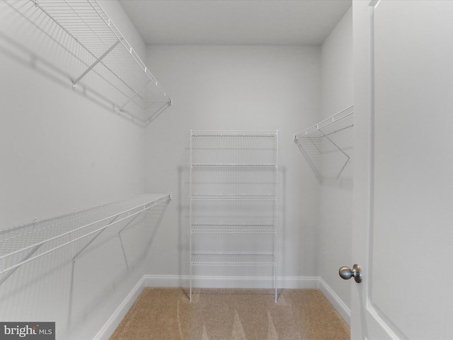 walk in closet with light carpet