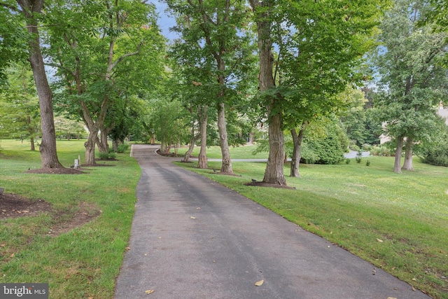 view of road