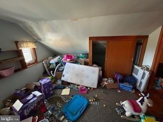 additional living space featuring lofted ceiling and carpet