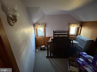 bedroom with vaulted ceiling