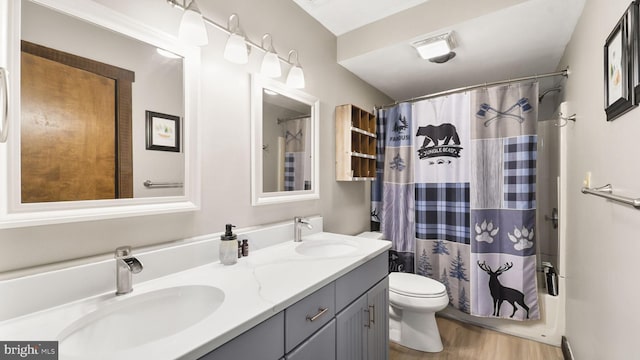 bathroom with double vanity, toilet, wood finished floors, and a sink