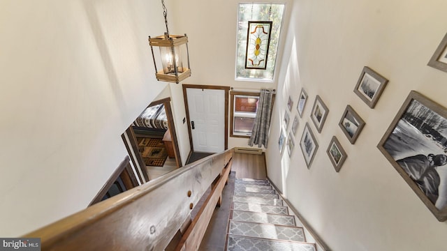 staircase featuring a high ceiling and wood finished floors