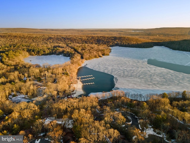 birds eye view of property featuring a water view and a view of trees