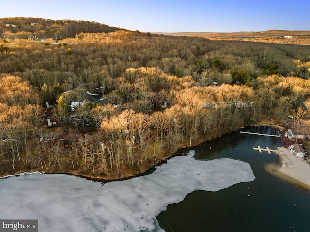 bird's eye view featuring a view of trees and a water and mountain view