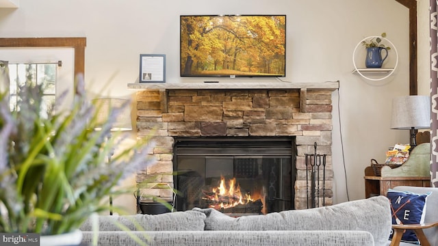 details featuring a stone fireplace