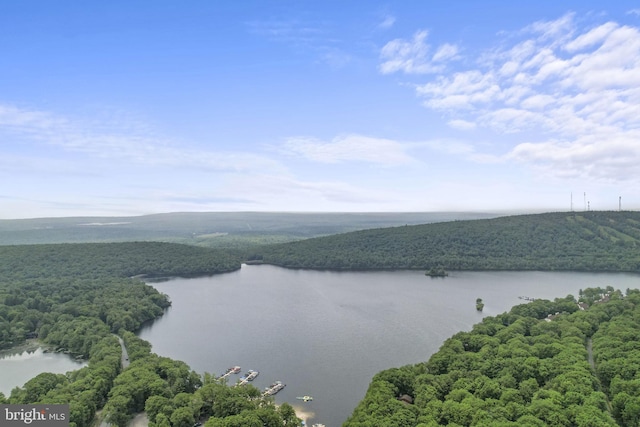 view of water feature with a forest view