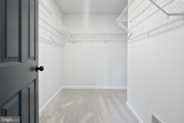 walk in closet featuring carpet flooring