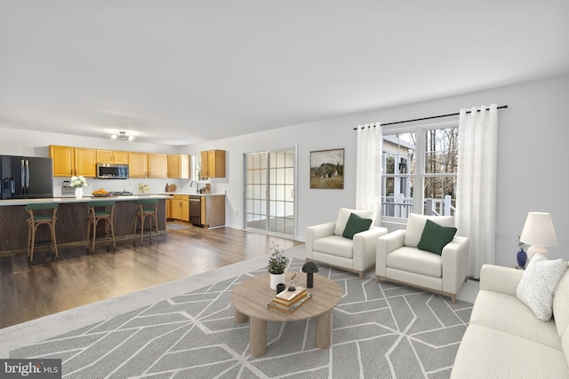 living area featuring dark wood-style floors