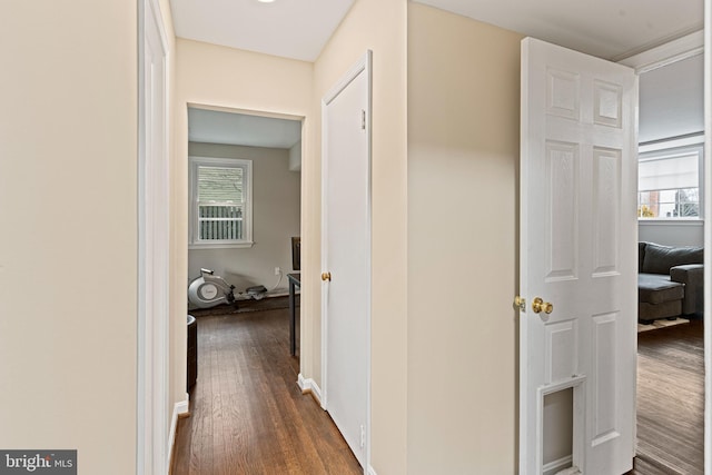 hallway with a healthy amount of sunlight and dark wood-style flooring