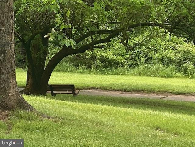 view of home's community with a yard