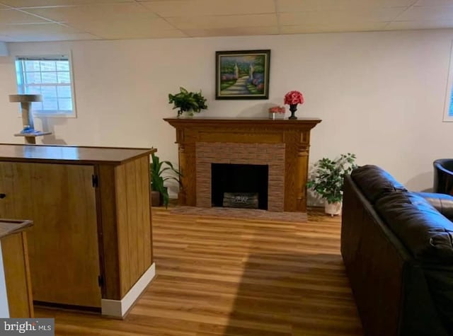 living area featuring a paneled ceiling, wood finished floors, and a fireplace