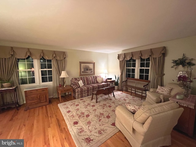 living area with wood finished floors