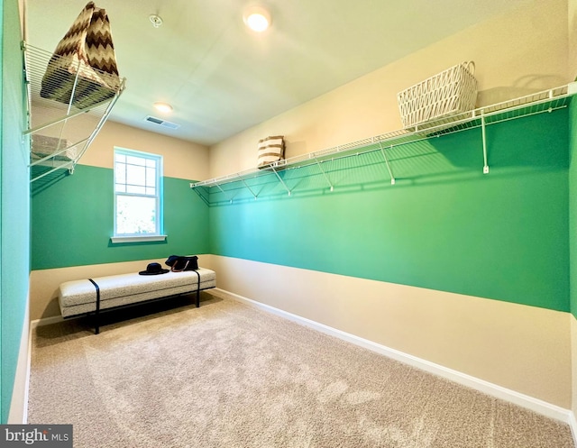 spacious closet with visible vents and carpet floors