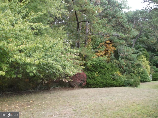 view of yard with a forest view