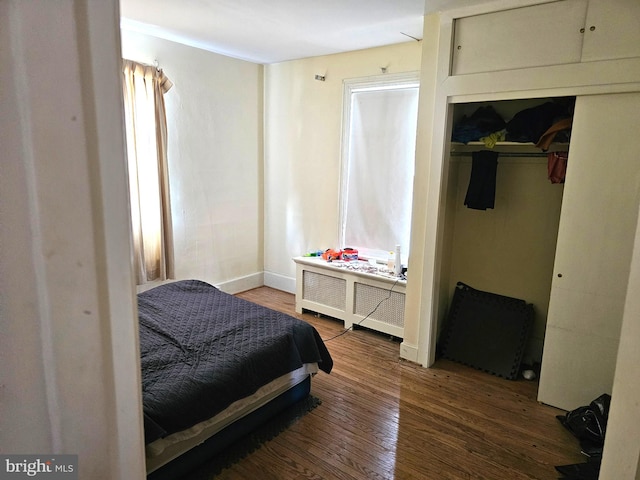 bedroom featuring radiator, wood finished floors, and a closet