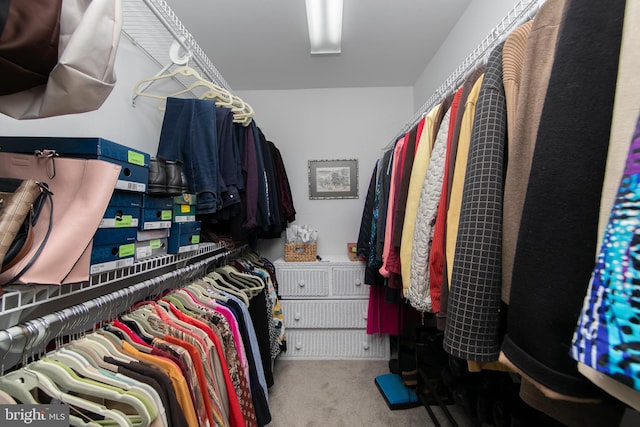 walk in closet with carpet