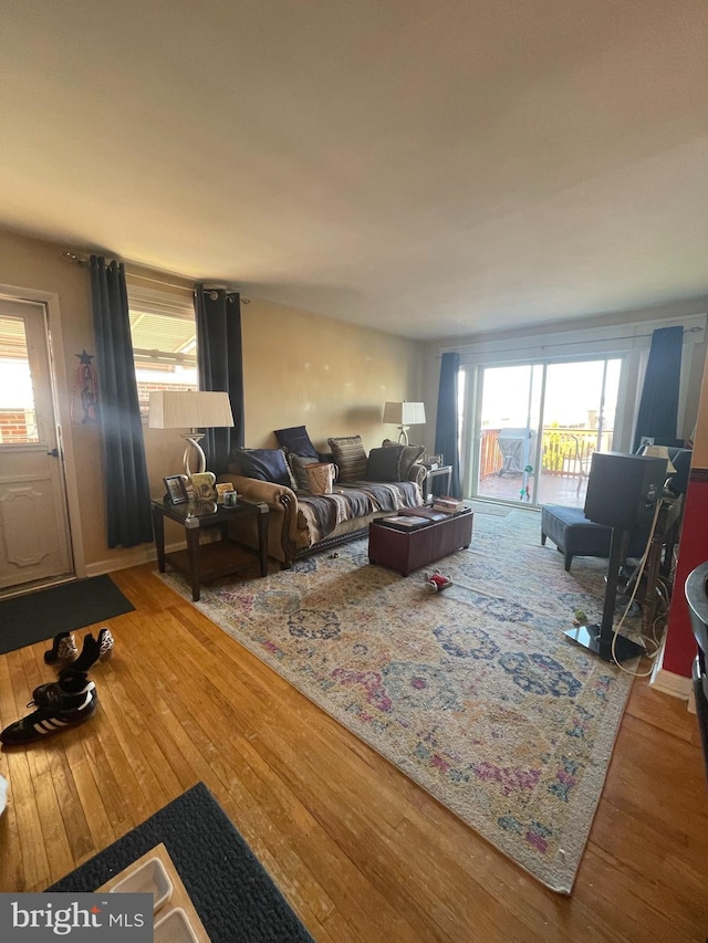 living room with a healthy amount of sunlight and wood-type flooring