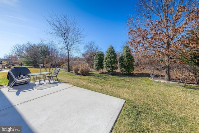 view of yard featuring a patio area