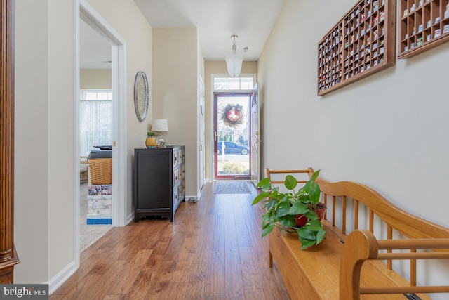 entrance foyer with a wealth of natural light, baseboards, and wood finished floors