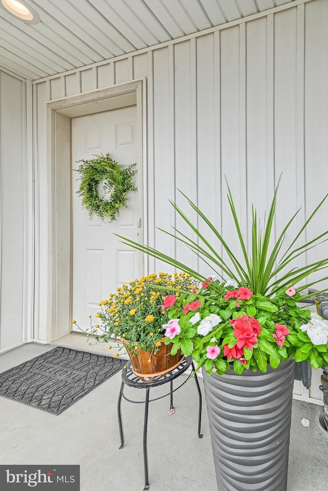 doorway to property with board and batten siding