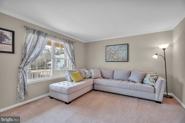 living area featuring baseboards, carpet, and ornamental molding