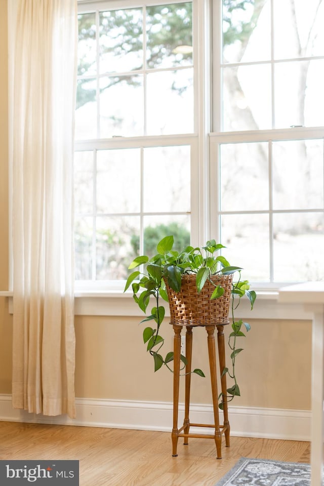 room details with baseboards and wood finished floors