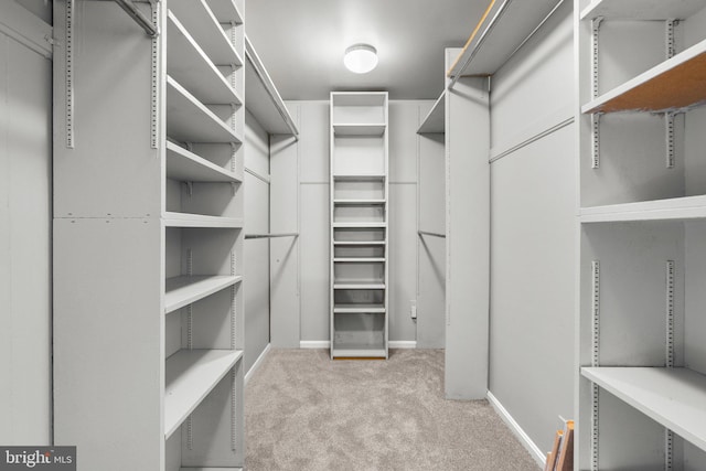 walk in closet featuring carpet flooring