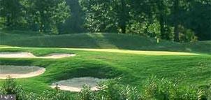 view of home's community with a lawn