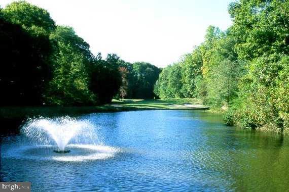 view of water feature with a wooded view