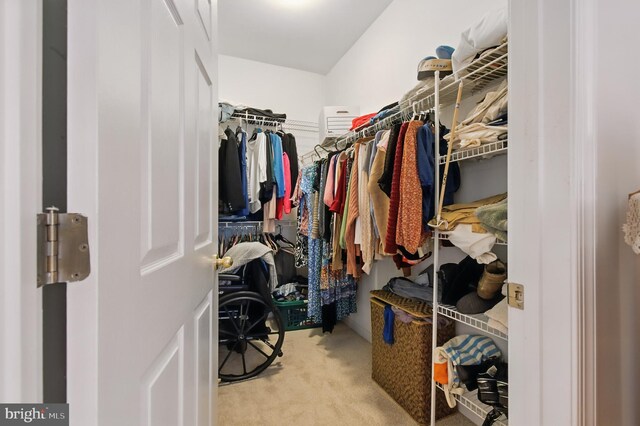 spacious closet featuring carpet floors