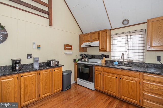 kitchen featuring under cabinet range hood, vaulted ceiling, range with electric stovetop, light wood-style floors, and a sink