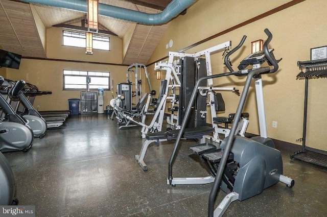 workout area featuring lofted ceiling