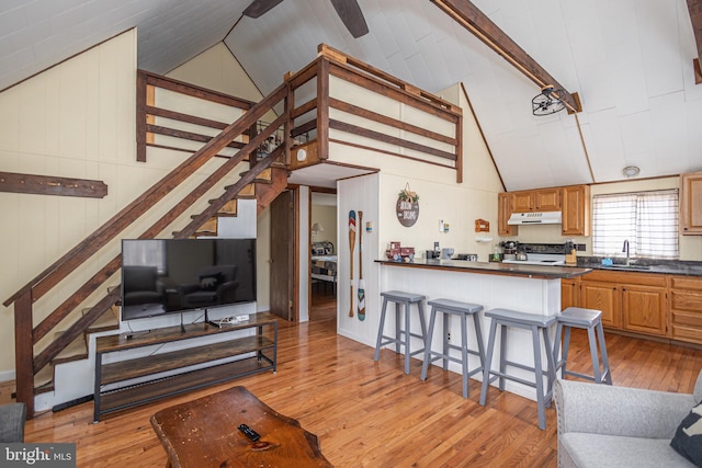 kitchen featuring dark countertops, under cabinet range hood, a breakfast bar area, light wood-type flooring, and a sink