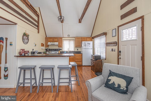 kitchen with dark countertops, light wood finished floors, under cabinet range hood, a peninsula, and freestanding refrigerator