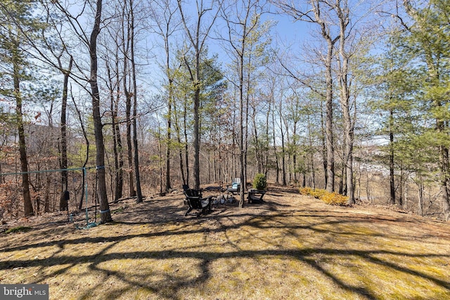 view of yard featuring a wooded view