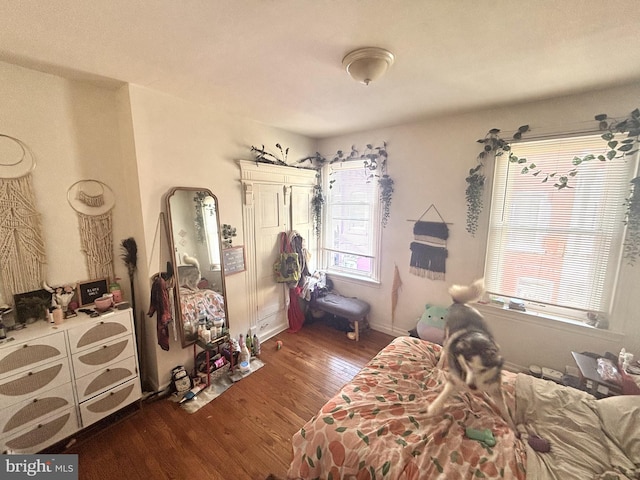 bedroom featuring dark wood-style floors and multiple windows