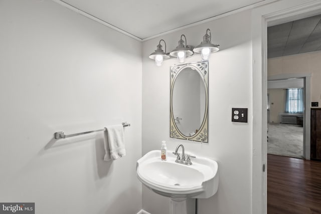 bathroom with wood finished floors and a sink